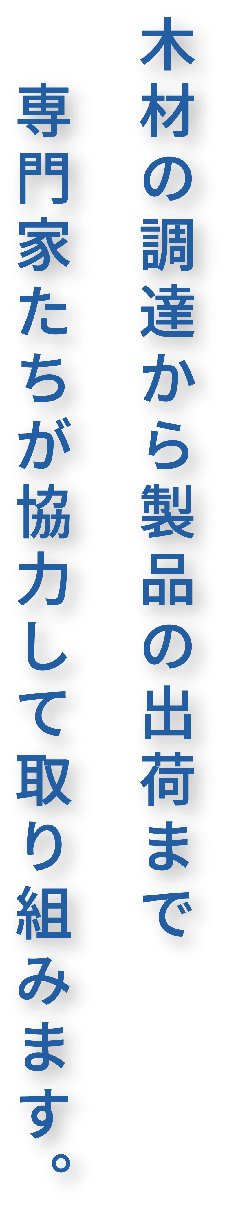 木材の調達から製品の出荷まで 専門家たちが協力して取り組みます。